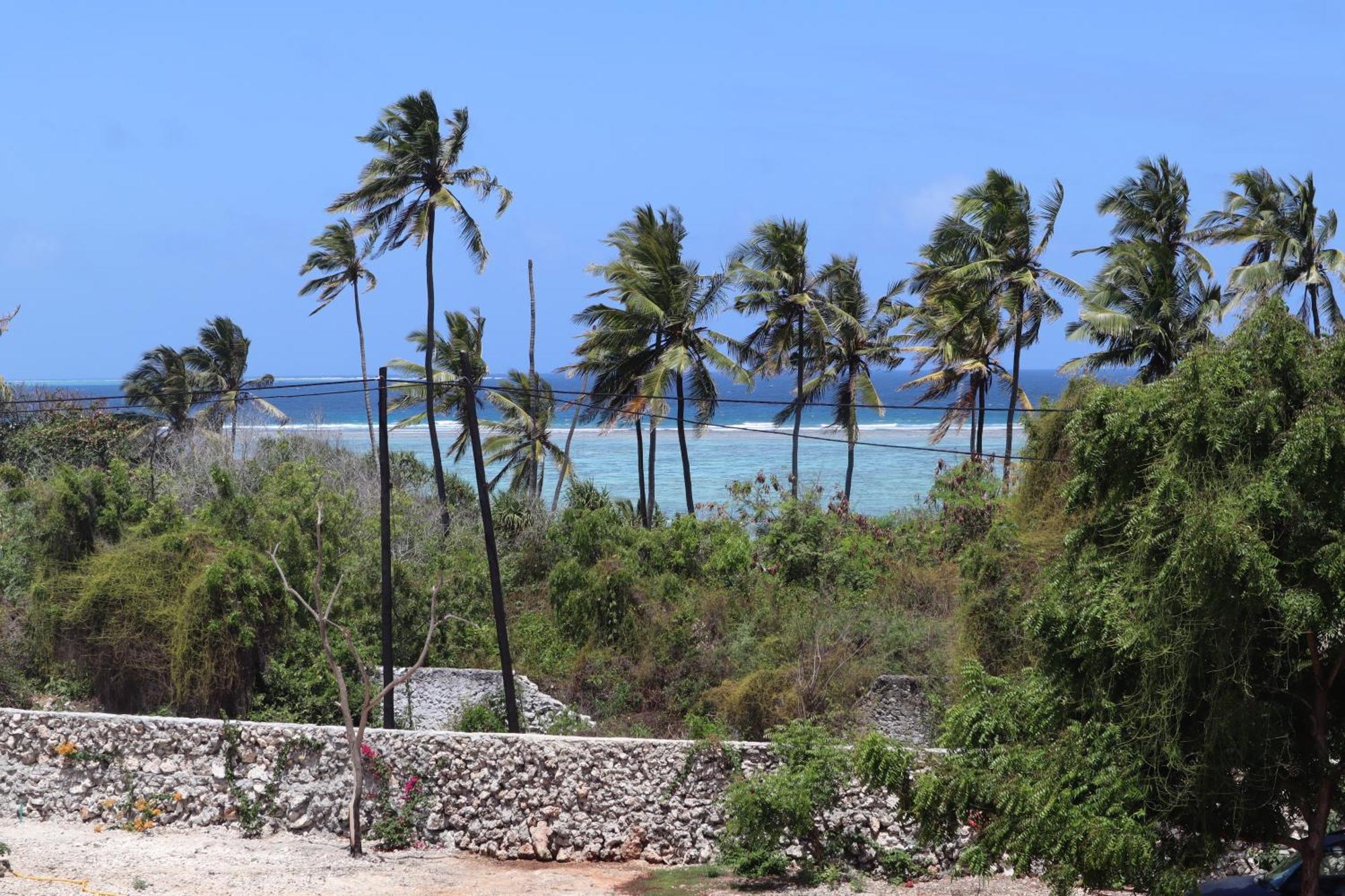Holiday Time Bungalows Zanzibar มาเทมวu ภายนอก รูปภาพ